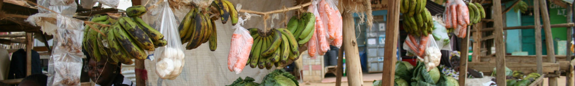 Vegetable Market